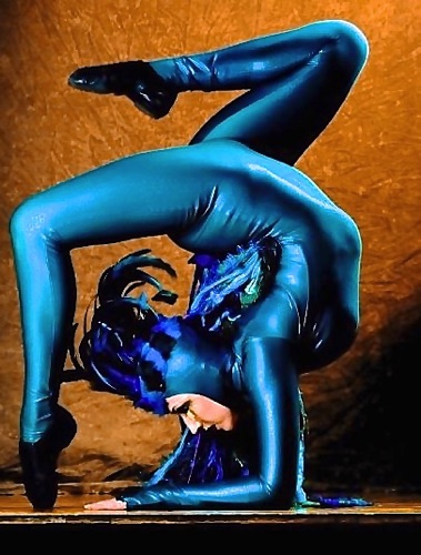 Peacock Contortion Profile